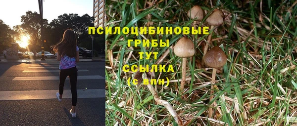 PSILOCYBIN Абаза
